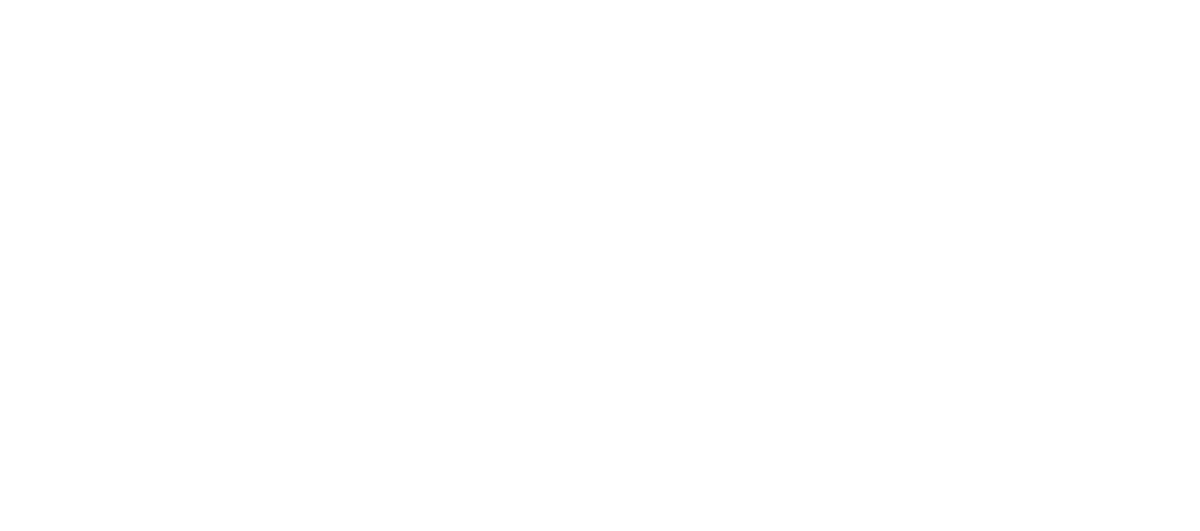 Aimo Group